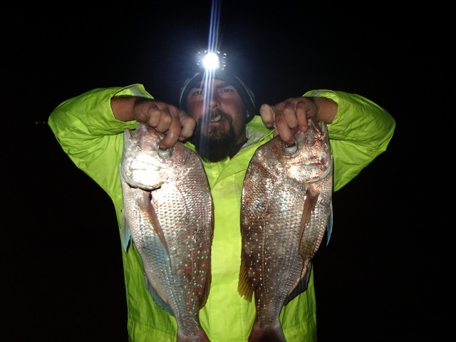 KALBARRI SNAPPER FROM THE ROCKS